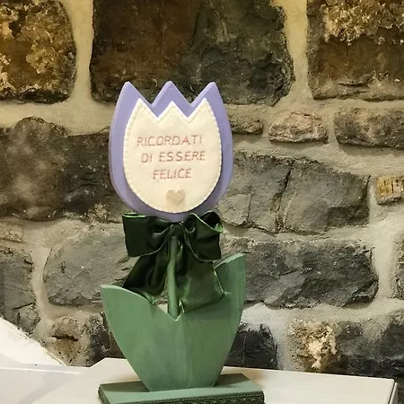 Campanelle 54 * Triest