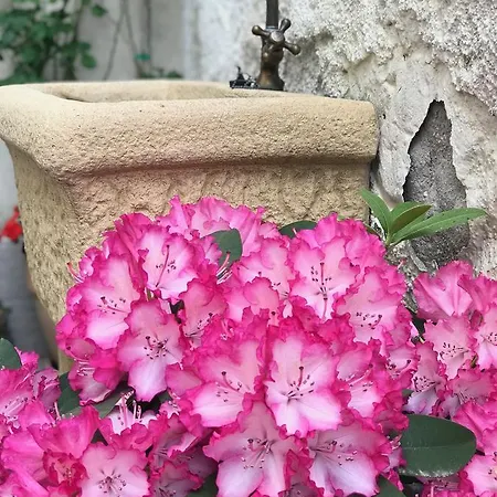 Campanelle 54 Apartment Triest