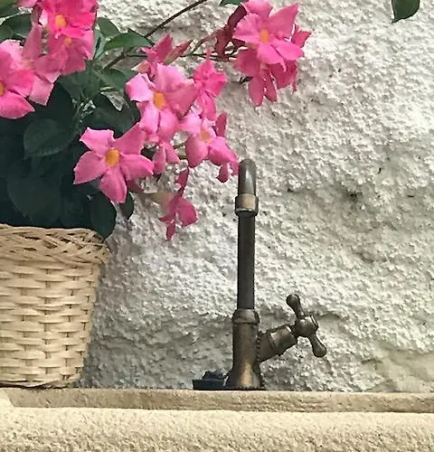 Campanelle 54 * Trieste